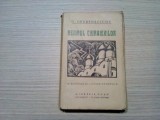 NEAMUL CIURAIEVILOR - G. Grebenscicov - CESAR PETRESCU (traducere) - 317 p.