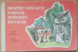 Despre Ursuleti Poznasi Veverite Iepurasi