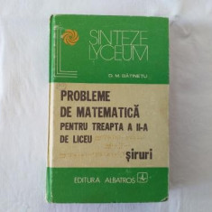 D. M. Batinetu - Probleme de matematica pentru treapta a II-a de liceu - siruri
