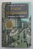 PODUL MOGOSOAIEI , POVESTEA UNEI STRAZI de GHEORGHE CRUTZESCU , 2022