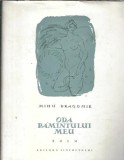 Cumpara ieftin Oda pamantului meu (ilustratii de Val Munteanu) - Mihu Dragomir