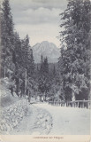 CP SIBIU Hermannstadt Carpatii Transilvaniei TULGHES ND(1917), Circulata, Fotografie