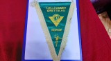 fanion Fjellhammer Idrettslag