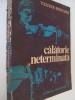 Calatorie neterminata - Yehudin Menuhin