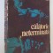 Calatorie neterminata - Yehudin Menuhin