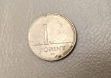 Ungaria - 1 forint (1993) - monedă s254
