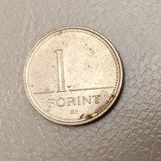 Ungaria - 1 forint (1993) - monedă s254
