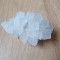 MINERAL - FLOARE DE MINA - HALIT (SARE CRISTALIZATA) DE LA MINA PRAID