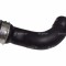 NRF 166059 Furtun ear supraalimentare