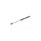 Amortizor portbagaj AUDI A5 8T3 STABILUS 598251