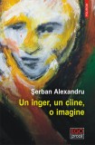 Un inger, un caine, o imagine - SERBAN ALEXANDRU