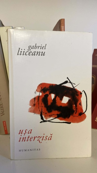 Gabriel Liiceanu - Usa interzisa