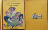 Vasile Petre Fati , Cum am crescut un zmeu , Editura Ion Creanga , 1976 , ed. 1