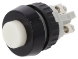 Comutator acţionat prin apăsare, IP40, 0,7A/250VAC - RAFI