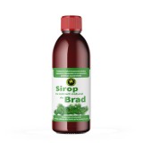 Sirop de Brad cu Zahar 500 mililitri Hypericum