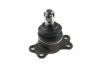 Rotula brat suspensie Ssang Yong Rexton 1, 2 2002-2012, Actyon 2001-2009 Fata, Inferior, NTY ZSD-DW-056