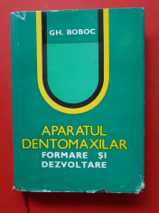 APARATUL DENTOMAXILAR Formare si dezvoltare ? G Boboc foto