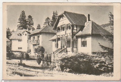 bnk cp Tusnad - Case de odihna - uzata foto