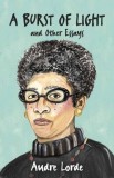 A Burst of Light: And Other Essays
