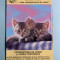 Calendar 2000 pisici Creditcoop