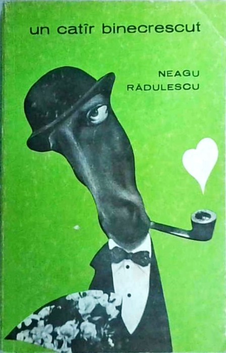 Neagu Radulescu - Un catar binecrescut