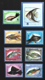 kampuchea pesti mnh