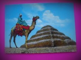 HOPCT 6841 PIRAMIDA ZASER-SAKKARA-EGIPTEAN IN COSTUM PE CAMILA -EGIPT -AFRICA-NECIRCULATA, Printata