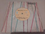 Disc vinil Octav Zemlicka
