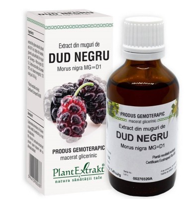 Extract din muguri de dud negru 50ml foto