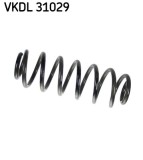SKF VKDL 31029 Arc spiral