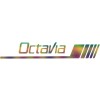 Sticker Skoda Octavia pentru Oglinda , Autocolant Exterior Discret si Elegant