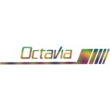 Cumpara ieftin Sticker Skoda Octavia pentru Oglinda , Autocolant Exterior Discret si Elegant