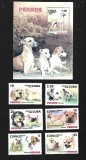 cuba caini mnh