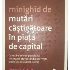 Peter D. Schiff - Minighid de mutări câștigătoare în piața de capital (editia 2014)