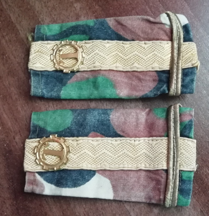 C3 - Grade militare - mozaic padure - maior tehnic