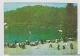 bnk cp Sovata - Lacul Ursu - circulata
