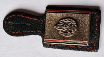Legiunea straina, insigna militara veche acordata si romanilor foto