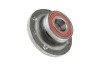 Butuc roata spate Fiat Brava, Bravo 1.4-1.9jtd 95.10-, Punto 1.1-1.7td 1993.09-1999.09, NTY KLT-FT-002