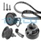 DAYCO KTB347 Set curea de distributie