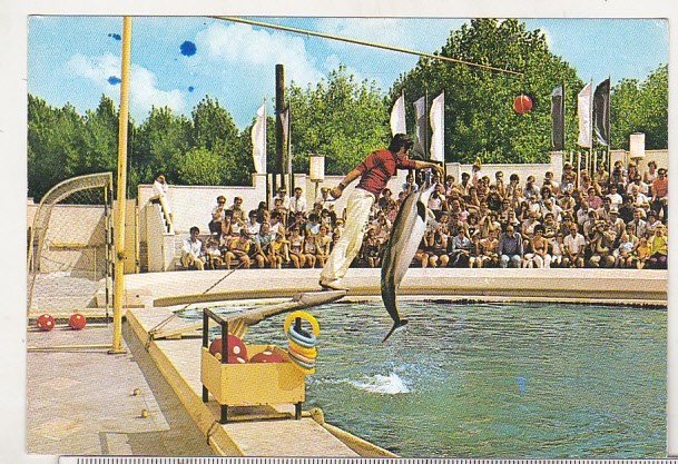 bnk cp Constanta - Delfinariu - necirculata