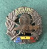 Insigna AGVPS Romania