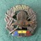 Insigna AGVPS Romania