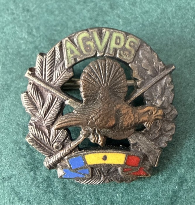 Insigna AGVPS Romania