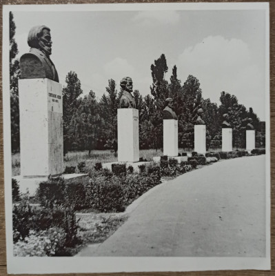 Statuile din Campia Libertatii, Blaj// fotografie de presa foto