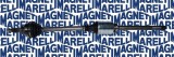 MAGNETI MARELLI 302004190080 Planetara