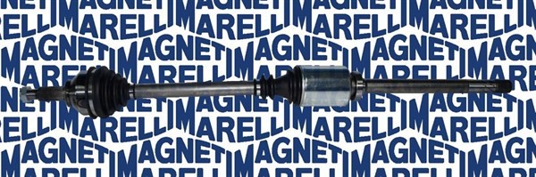 MAGNETI MARELLI 302004190080 Planetara