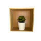 Decoratiune Compusa din Cutie Bambus 15x15x7cm si Planta Artificiala 7cm, M4, Oem