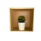 Decoratiune Compusa din Cutie Bambus 15x15x7cm si Planta Artificiala 7cm, M4