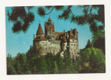 CA19 -Carte Postala- Bran, Castelul Bran ,necirculata
