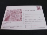 Cluj-Napoca - Gradina Botanică - Carte Poștală Epoca Ceaușescu